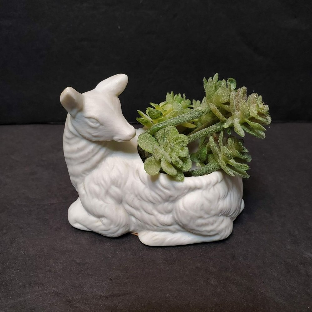 White Bisque Porcelain Deer Planter with Faux Succulent, Animal Goat Plant Pot